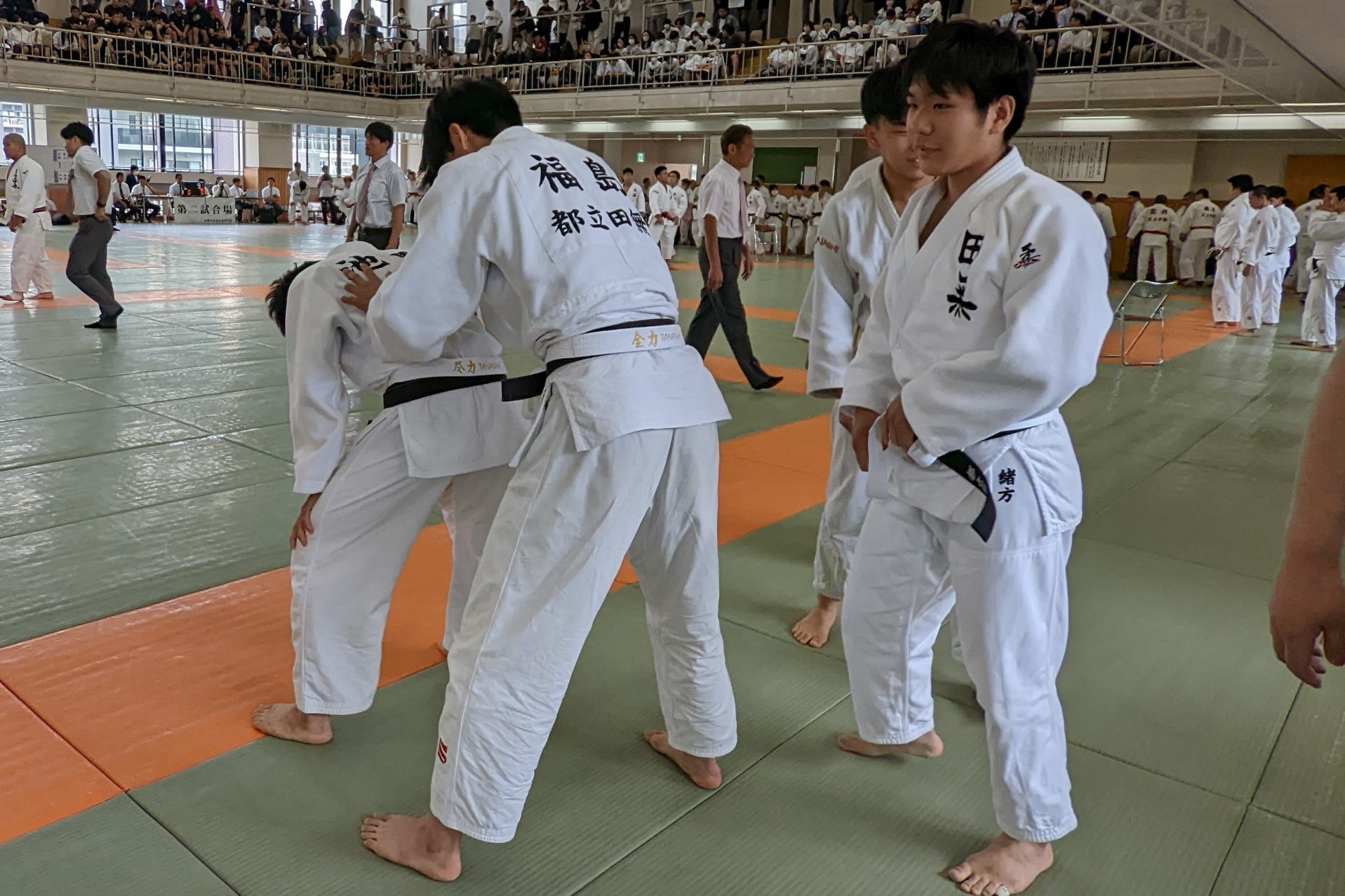 PXL_20230528_035030791 (2)